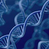 24Genetics - Test de ancestros en A Coruña  Genotica  al precio de 149€